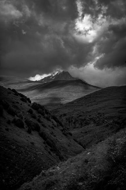 Image related to photography-safaris