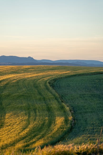 Image related to seasonal-safari-highlights-in-kenya