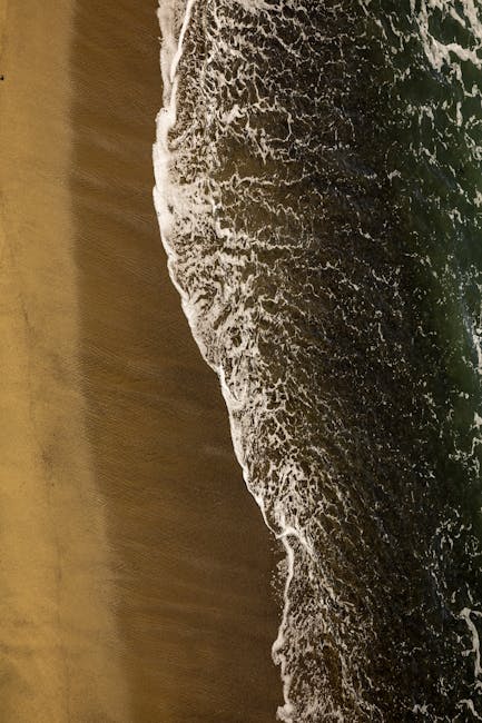 Image related to marine-safaris-in-kenya