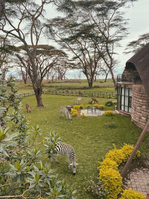 Image related to eco-tourism-in-kenya