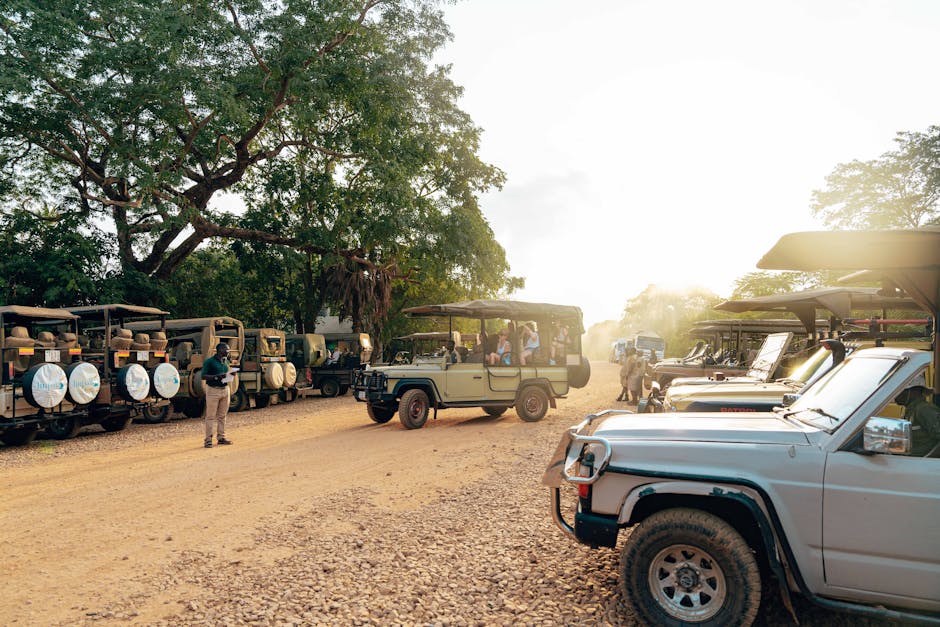Image related to group-tours-and-expeditions