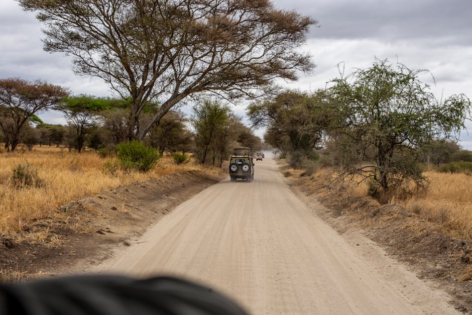 Image related to seasonal-safari-highlights-in-kenya