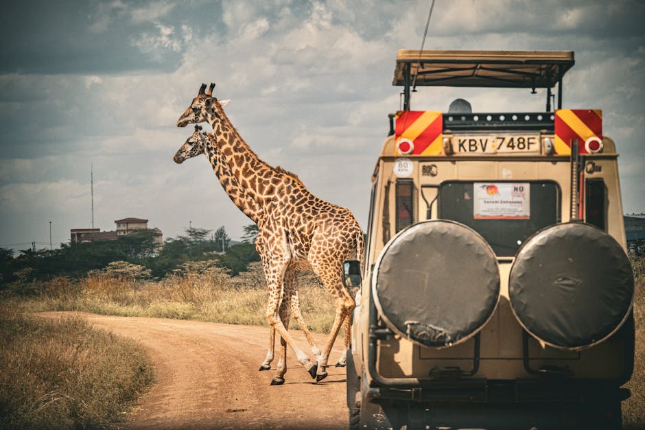 Image related to honeymoon-safaris-in-kenya