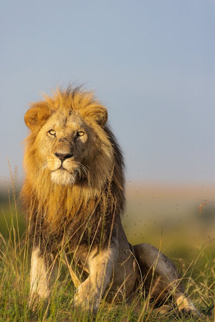 Image related to maasai-mara-safaris