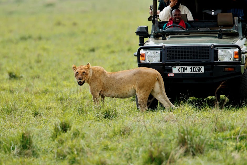 Image related to kenyan-wildlife-safaris