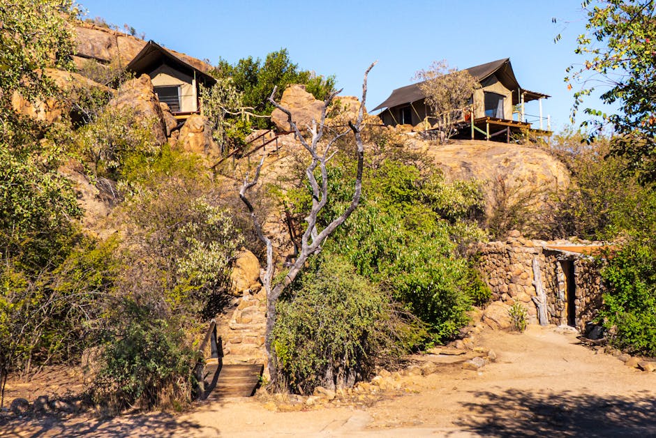 Image related to luxury-safari-lodges-in-kenya