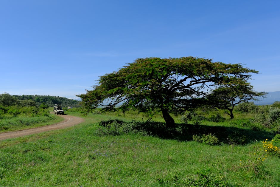Image related to seasonal-safari-highlights-in-kenya