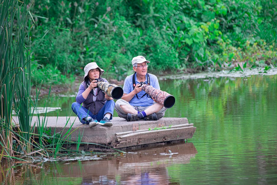 Image related to bird-watching-tours